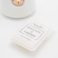 Black Sand and Cashmere - Wax Melt